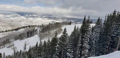 Beaver Creek - Photo 5