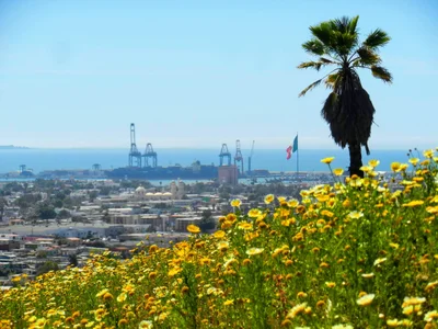 Ensenada - Photo 4