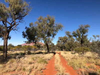 Macdonnell Region - Photo 3