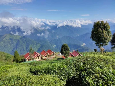 Darjeeling - Photo 5