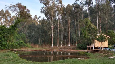 Cachoeira da Mata - Photo 2