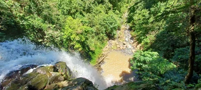 Cachoeira da Mata - Photo 3