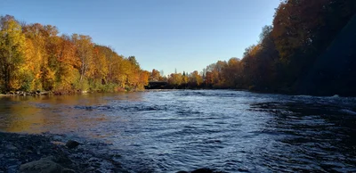 Beaupré - Photo 3