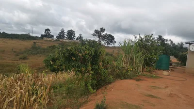 Bushbuckridge - Photo 2