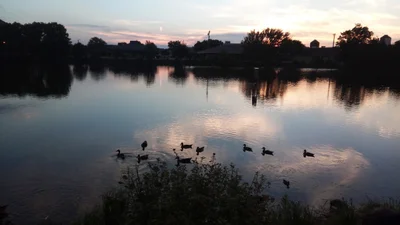 Edmond - Photo 2