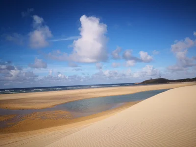 Orchid Beach - Photo 4