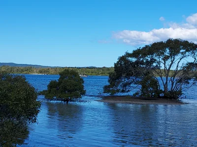 Tin Can Bay - Photo 2