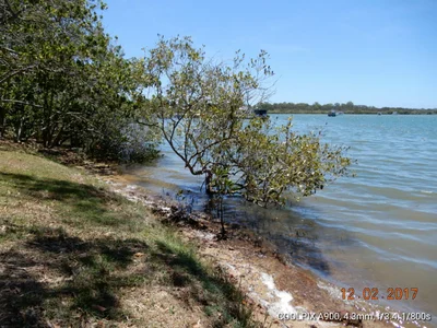 Tewantin - Photo 5