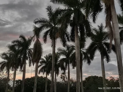Sunrise - Photo 3