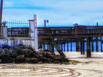 Port Richey - Photo 3