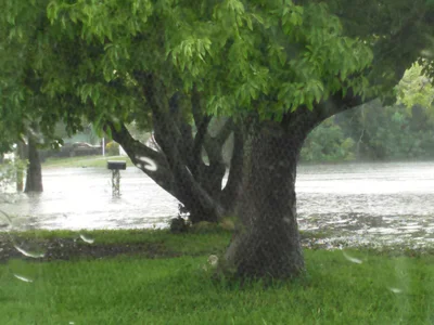 Port Richey - Photo 4