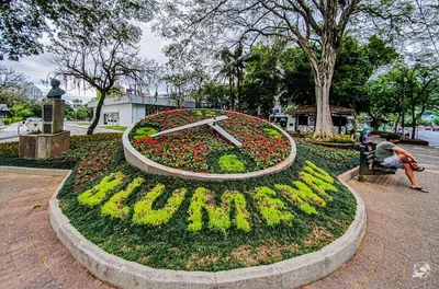 Blumenau - Photo 4
