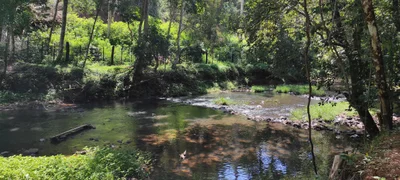 Nueva Alborada - Photo 3
