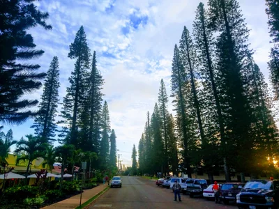 Lanai City - Photo 2