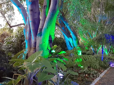 City of Brisbane - Photo 2