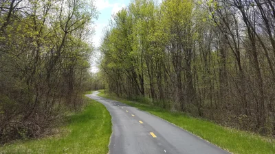 Maple Grove - Photo 5