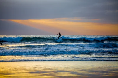 Del Mar - Photo 5