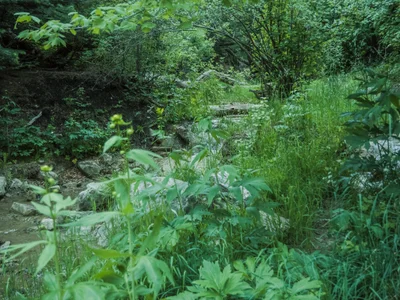 Placitas - Photo 2