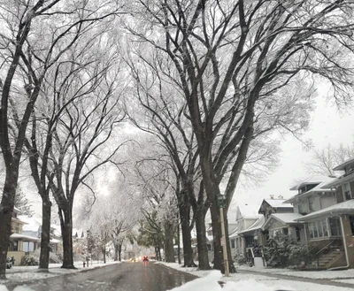 Oak Park - Photo 3
