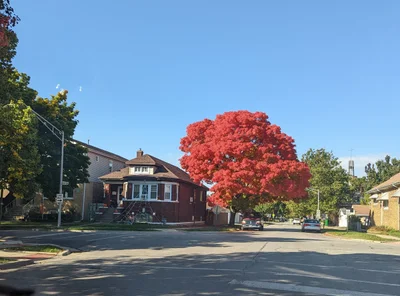 Oak Park - Photo 4