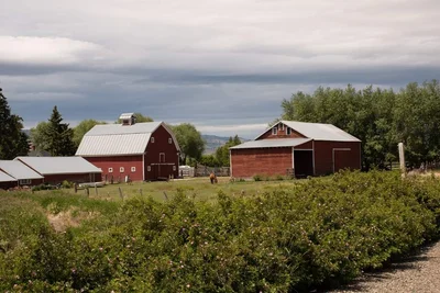 Ellensburg - Photo 5