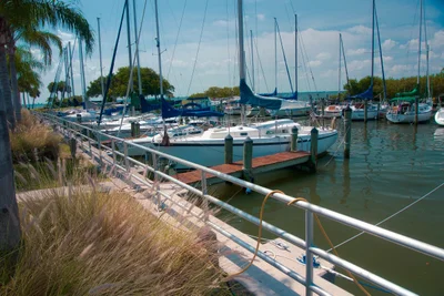 Safety Harbor - Photo 3