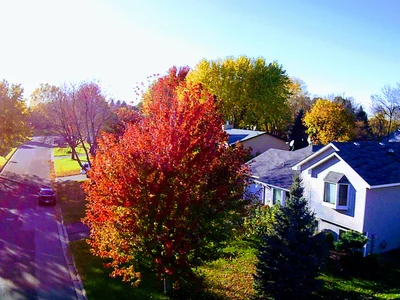 Eagan - Photo 5