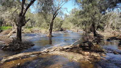 City of Swan - Photo 2
