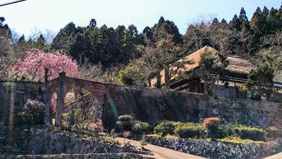 Kashima - Photo 3