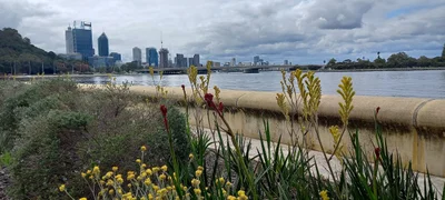 Perth - Photo 4