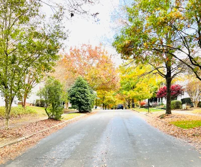 Fort Mill - Photo 4