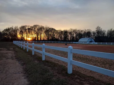 Fort Mill - Photo 5