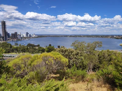 Kings Park - Photo 3