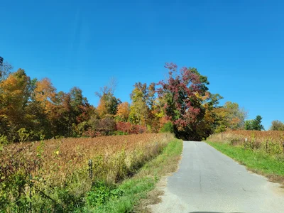Somerset - Photo 2