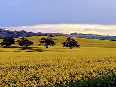 Beverley - Photo 4