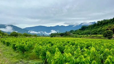 Luye - Photo 4