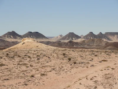 Troncos Petrificados - Photo 2