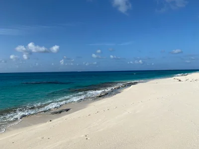 Salt Cay - Photo 2