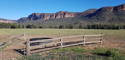 Singleton Council - Photo 4