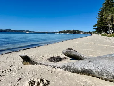 Port Stephens Council - Photo 4