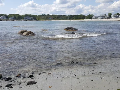Biddeford - Photo 3