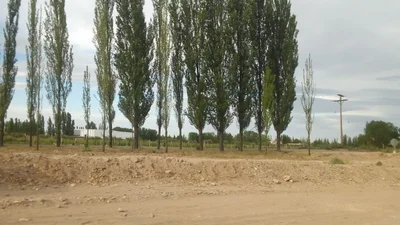 Distrito Mayor Drummond - Photo 4