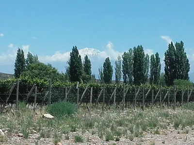 Distrito Las Barrancas - Photo 2