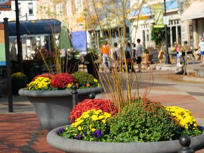 Northville - Photo 3