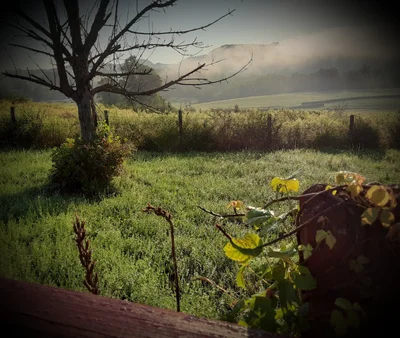 Clarksburg - Photo 2