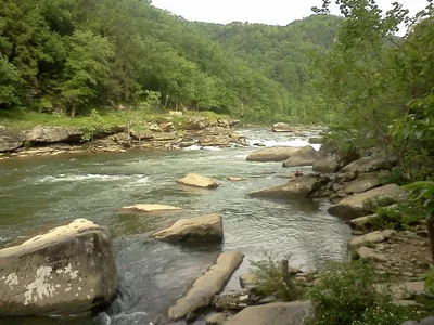 Summersville - Photo 4