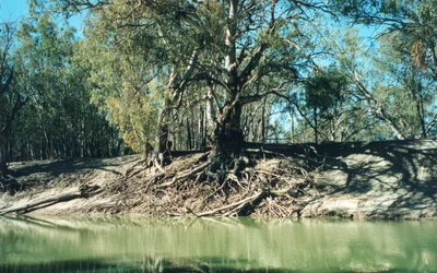 Wentworth Shire Council - Photo 2