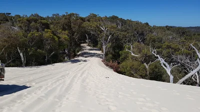 Shire Of Manjimup - Photo 4