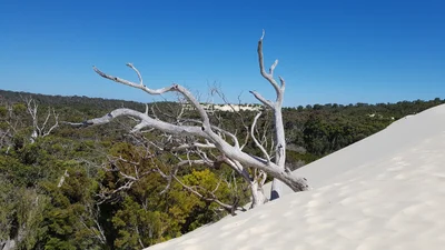 Shire Of Manjimup - Photo 5