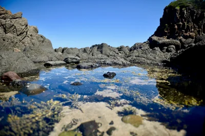 Minnamurra - Photo 5